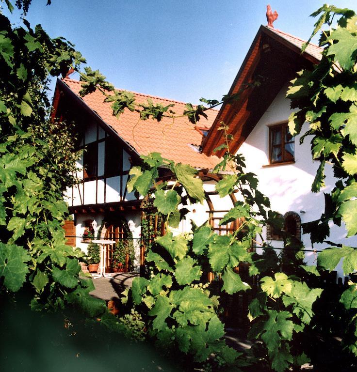 Weingut Magdalenenhof Hotel Ruedesheim am Rhein Exterior photo